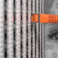 Services Réseaux – Les services essentiels